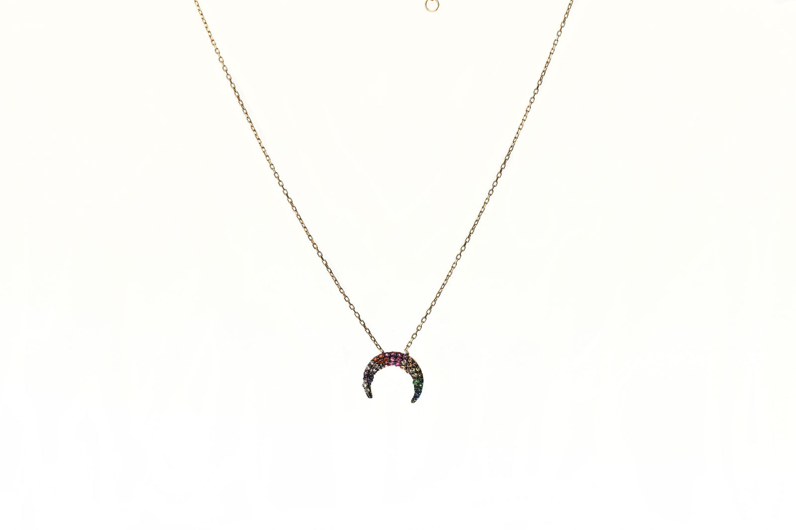 Rainbow Horseshoe Pendant Necklace